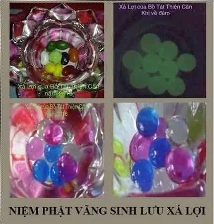 Niệm Phật 3 Năm, Cư Sĩ Thiện Căn Vãng Sanh Lưu Xá Lợi