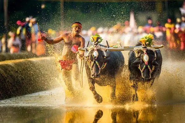 Đến Ấn Độ - Cái Nôi Của Phật Giáo Để Trải Nghiệm Những Điều Thú Vị