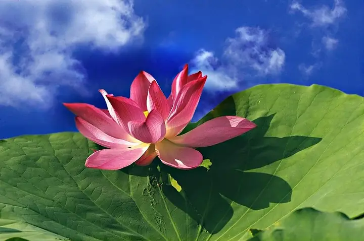 Học Thuyết Tuyệt Vời Cần Biết Trong Đạo Phật