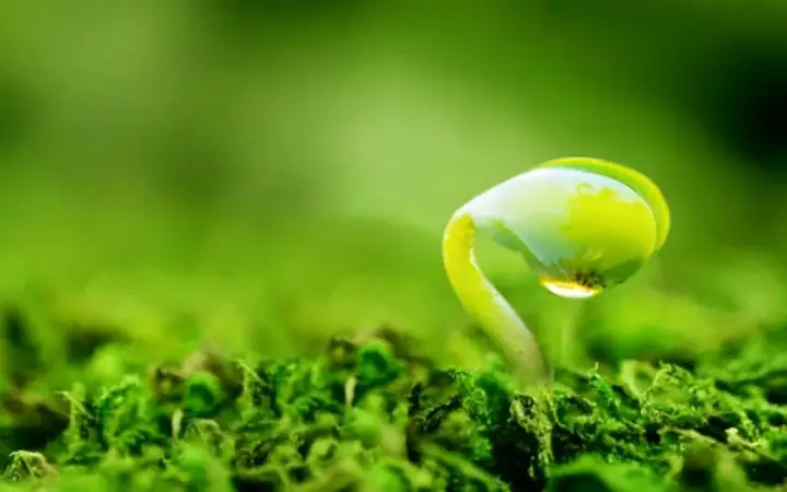 Học Thuyết Tuyệt Vời Cần Biết Trong Đạo Phật