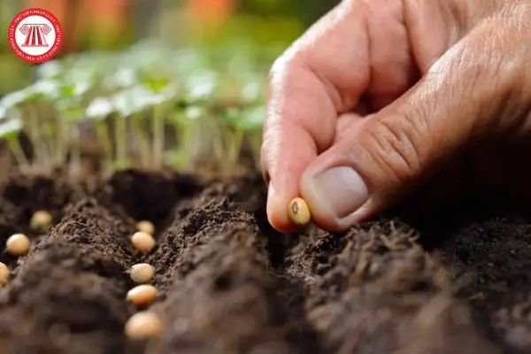 Nội Dung Cơ Bản Của Triết Học Phật Giáo Thế Nào? Có Được Phân Biệt ...