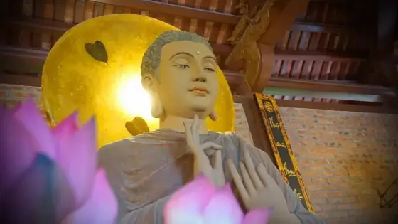 Xin Cảm Ơn Ngã Phật Từ Bi