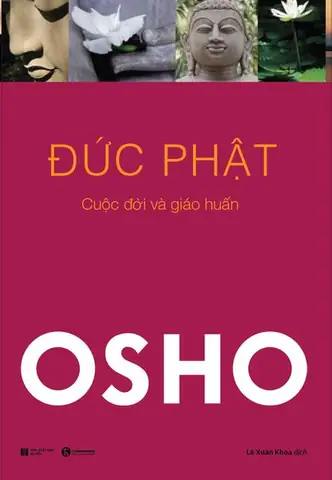 Mô Tả Sản Phẩm