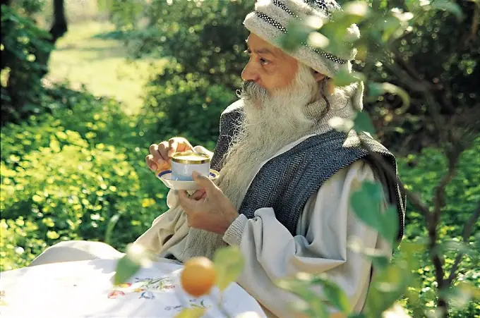 Osho Nói Về Phật: Hiểu Sâu Về Đức Phật Qua Góc Nhìn Của Bậc Thầy Tâm Linh