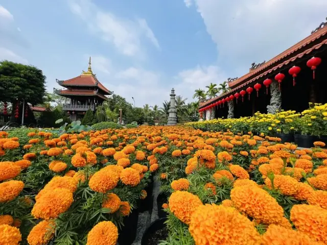 426345494_356911920627804_8811506554544555466_n