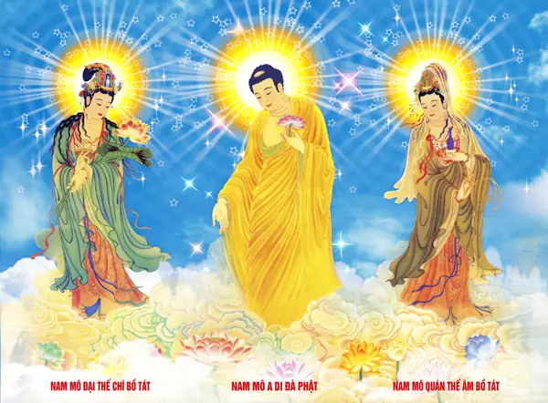 Phật A Di Đà Vector: Hướng Dẫn Tải & Sử Dụng File Vector Phật A Di Đà