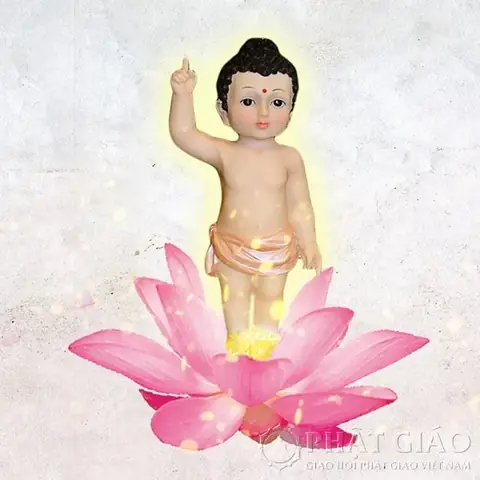 Ngày Lễ Phật Đản, Chúng Ta Thường Được Nghe Nhắc Đến Hình Ảnh Đức Phật Mới Ra Đời Đi Bảy Bước, Tay Chỉ Trời Tay Chỉ Đất, Nói: “thiên Thượng Thiên Hạ, Duy Ngã Độc Tôn”,