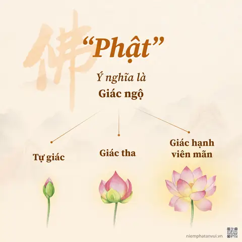 (trã­ch Tá»« Giáº£ng Kinh Äáº¡i Thá»«a Vã´ Læ°á»£ng Thá» - Táº­p 001 | 001/374)