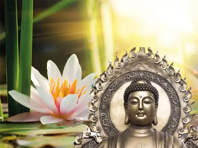 Iv/ Chi Tiết Về A Di Đà Kinh: