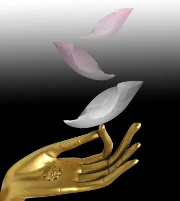 Bởi Khi Biết Buông Xả Thì Tâm Ta Mới Trong Sáng Để Vượt Qua Những Cám Dỗ Của Tham, Sân, Si, Của Mạn Nghi Ác Kiến Để Rồi Nhìn Thấy Niềm Vui Xung Quanh Ta.