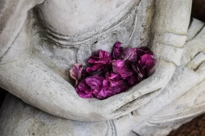 Con Người Không Thấy Được Sự Nguy Hiểm Của Lòng Tham Dục, Cho Nên Càng Tham Muốn Càng Khổ Nhiều.