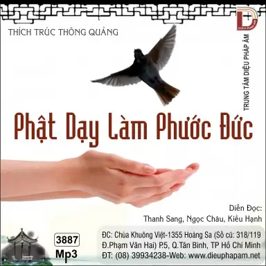 Phật Dạy Làm Phước Đức: Bí Quyết Tích Lũy Tài Sản Vô Hình Cho Cuộc Đời Viên Mãn