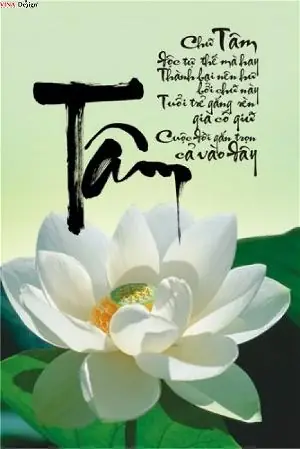 Phật Dạy Tại Tâm: Tìm Hiểu Sâu Sắc Về Giáo Lý Cốt Lõi Trong Đạo Phật