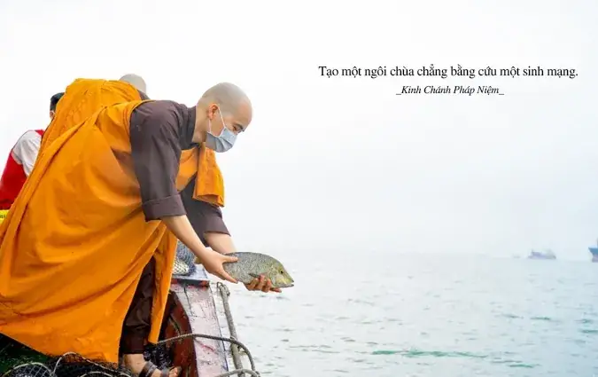 Những Lời Đức Phật Dạy Về Nghiệp Quả Sát Sinh Và Cứu Vật Phóng Sinh