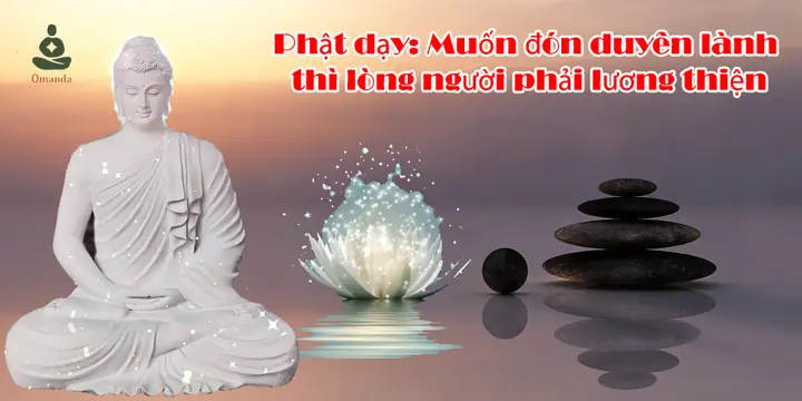 Phật Dạy Từ Bi: Cội Nguồn & Sức Mạnh Của Tình Thương Bao La