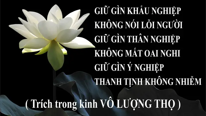 Đức Phật Dạy Rằng “tu Cái Miệng Là Tu Hơn Nửa Đời Người”