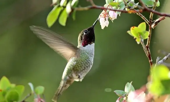 Tích Đức Từ Việc Làm Ăn Lương Thiện