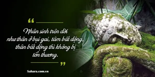 Thoát Khỏi Nỗi Sợ Hãi