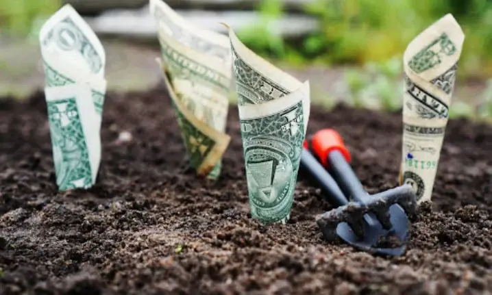 Quan Điểm Của Phật Giáo Về Giá Trị Của Đồng Tiền