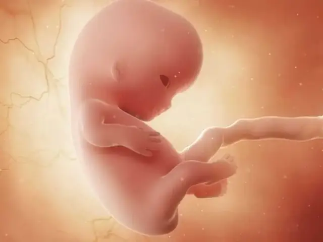 Sảy Thai Có Thể Bị Các Nghiệp Sau: