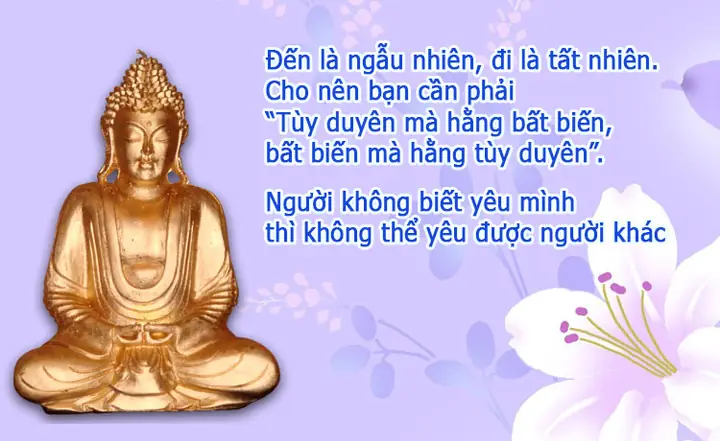 Phật Dạy Về Tình Yêu Nam Nữ: Triết Lý Từ Bi Cho Mối Quan Hệ Bền Vững