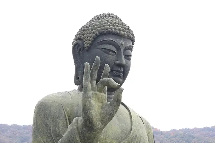 Người Tu Lấy Trí Tuệ Làm Sự Nghiệp