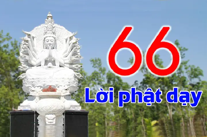 66 Lời Phật Dạy Về Cuộc Sống | Hoa Viên Nghĩa Trang Bình Dương