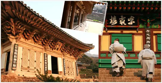 [tóm Tắt Báo Cáo] Phật Giáo Trong Xã Hội Hàn Quốc Hiện Đại