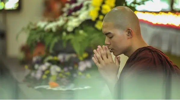 Nghiệp Lành, Nghiệp Tốt