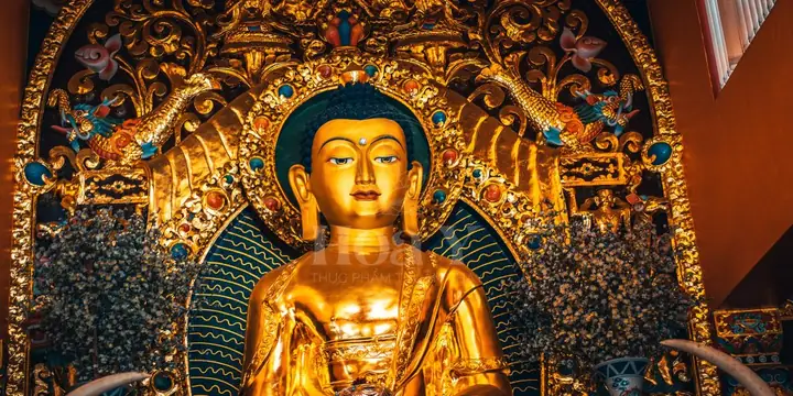 Phật Giáo Nam Tông Và Bắc Tông - Thực Phẩm Chay Hoa Y