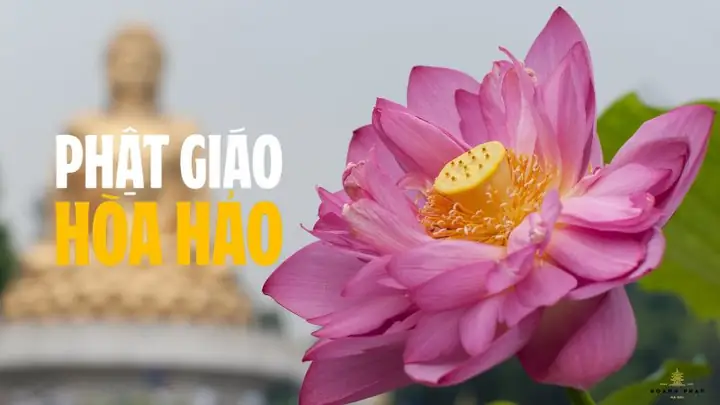 Phật Giáo Và Phật Giáo Hòa Hảo: So Sánh, Khác Biệt Và Tương Đồng