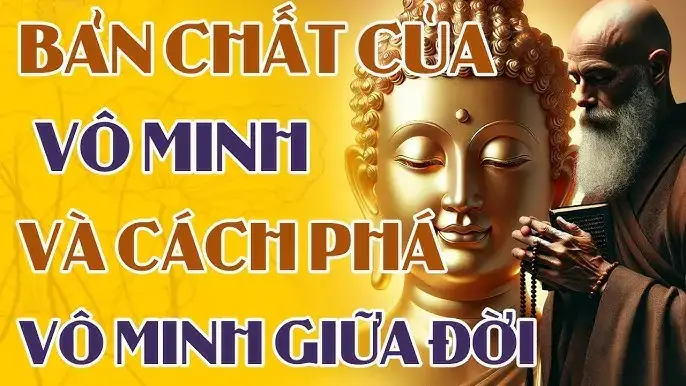 Phật Học Là Gì: Khám Phá Bản Chất Toàn Diện Của Một Vị Phật