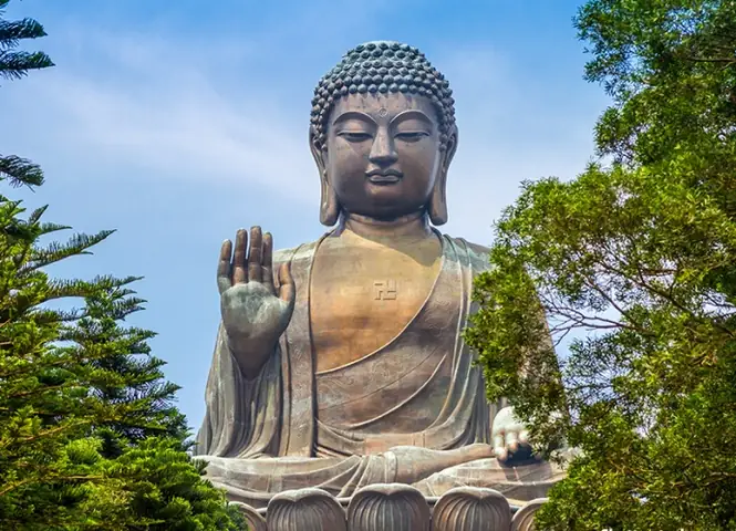 Tư Vấn Tâm Linh | Đọt Chuối Non