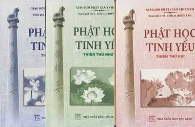Phật Học Tinh Yếu: Chìa Khóa Hiểu Biết Cho Người Đời