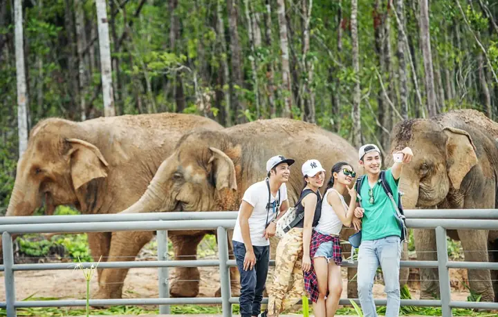 [gói Dịch Vụ Cao Cấp] - Premium Vip Zoo Tour - Vinpearl Safari Phú Quốc