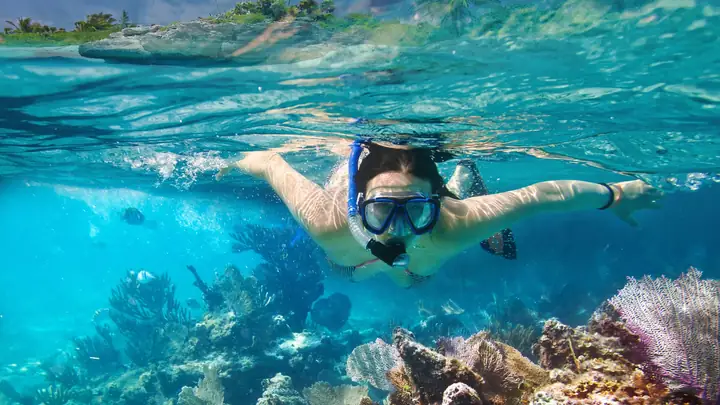[hòn Tằm] - Lặn Ống Thở 15 Phút (snorkeling)