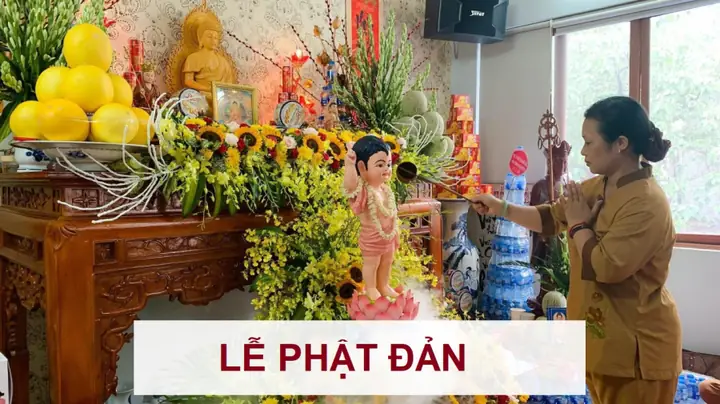 Trồng Cây Khế Trong Nhà Nhất Định Phải Nhớ Điều Này Để Tránh Đại Kỵ Phong Thủy, Giúp Thu Hút Tài Lộc Giàu Có