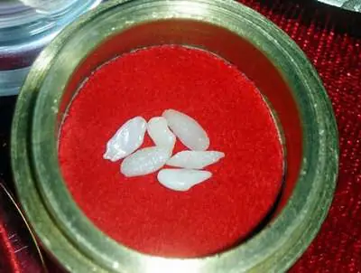 Phật Ngọc Hồ Chí Minh