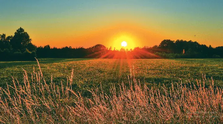 Phật Nhật Tăng Huy, Pháp Luân Thường Chuyển