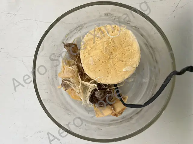 Phật Nhảy Tường Đông Khô Là Gì