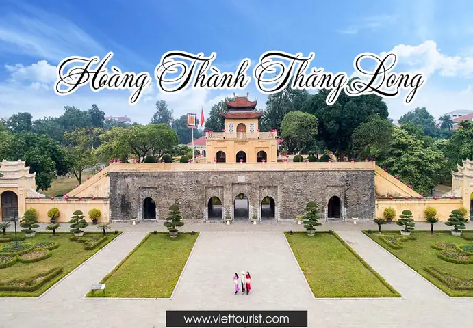 Những Sự Thật Thú Vị Về Gấu Koala