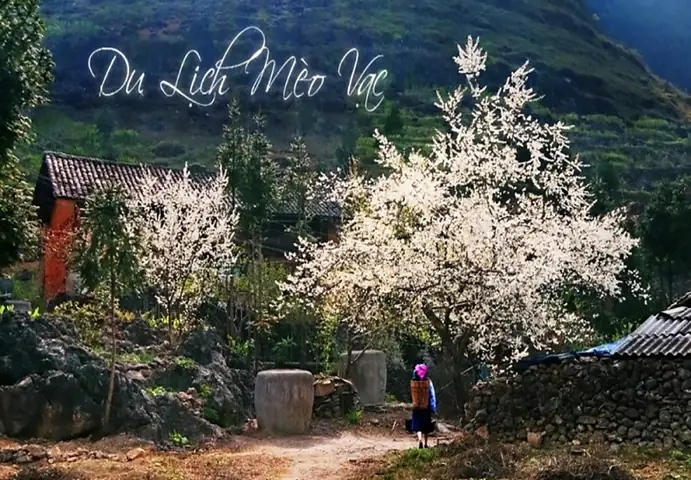 15 Món Ăn Ngày Tết Của Người Miền…