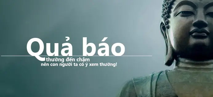 Bạn Đang Mệt Mỏi Bởi Bon Chen Của Cuộc Sống Thì Hãy Làm Ngay Điều Này Để Được An Nhàn