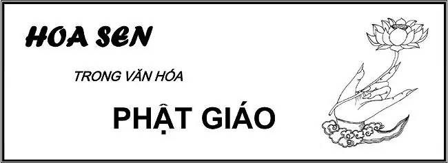 Hoa Sen Trong Văn Hóa Phật Giáo