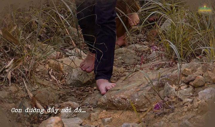 Phật Pháp Nhiệm Màu Chùa Ba Vàng