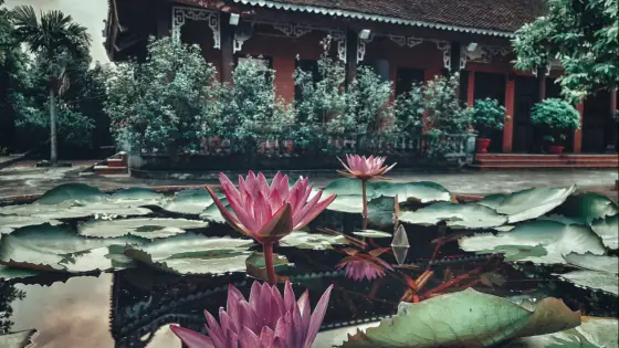 Phật Pháp Nhiệm Màu: Sống Đời Chánh Nghiệp (i)