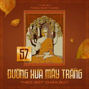 Nhân Quả Và Phật Pháp Nhiệm Màu - Tập 1 [sách Nói] - Sức Khoẻ ...