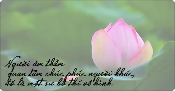 Những Câu Nói Hay Nhất Của Phật Pháp Về Cuộc Sống