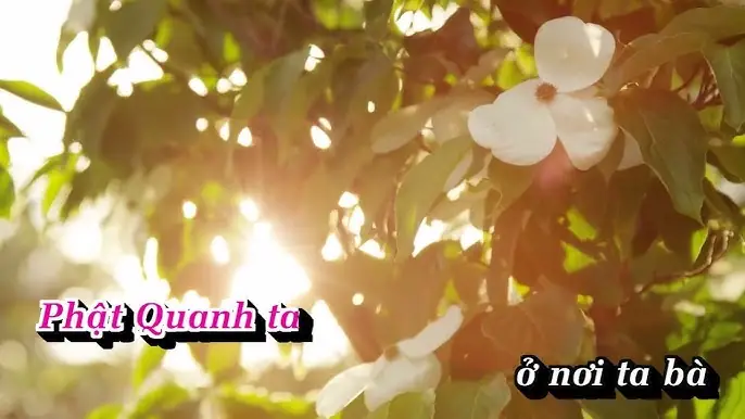 Phật Quanh Ta Ở Nơi Ta Bà: Khám Phá Ý Nghĩa Và Ứng Dụng Trong Đời Sống