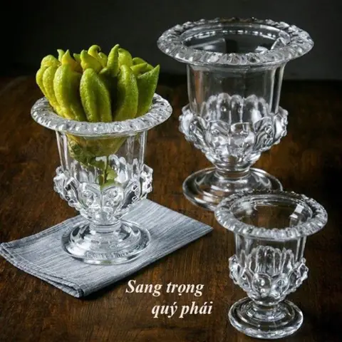 Phật Thủ Giá Sỉ: Hướng Dẫn Toàn Diện Từ A-z Cho Người Bán Lẻ Và Kinh Doanh